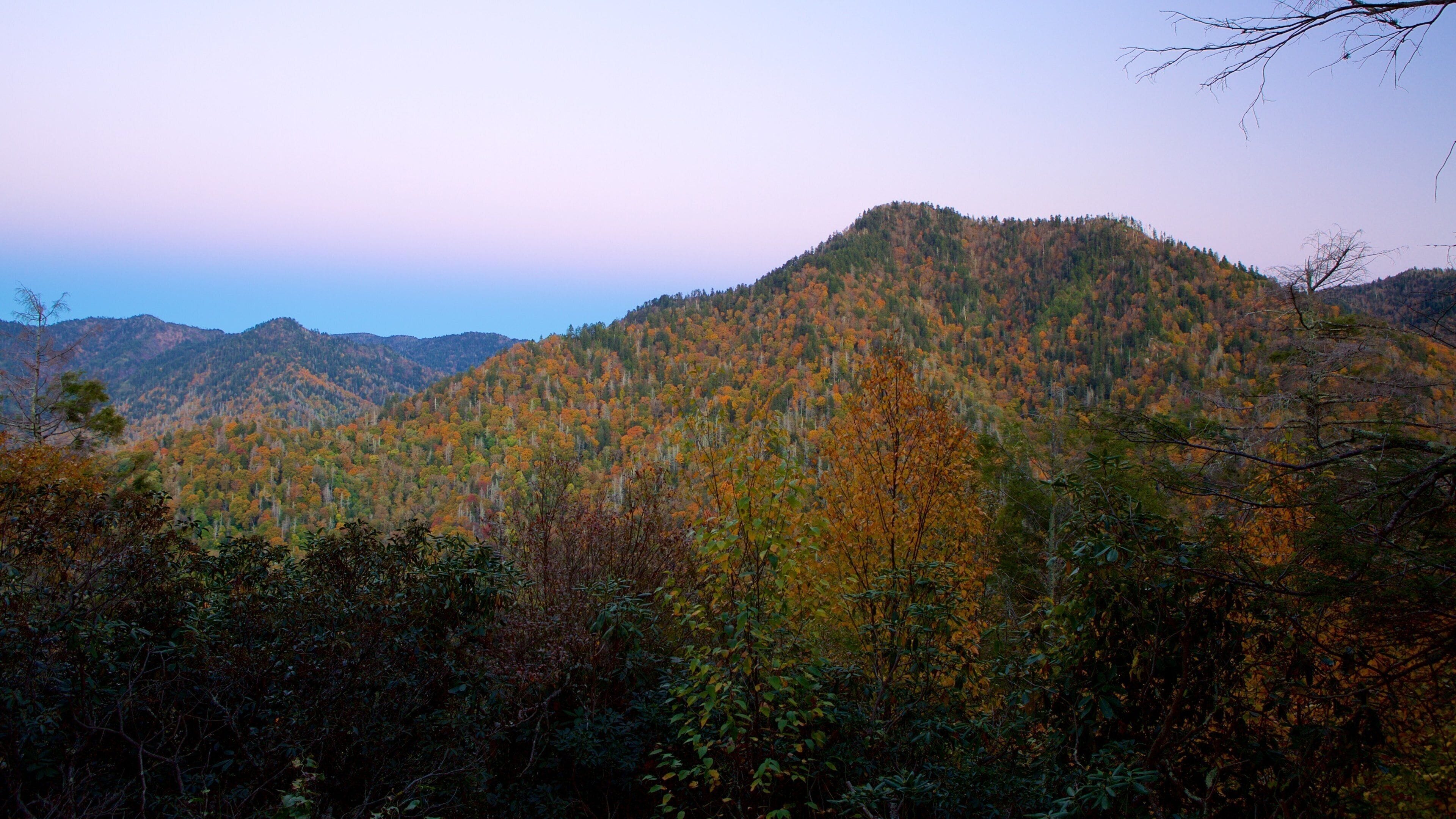 Mountain panorama from Chimney Tops Trail